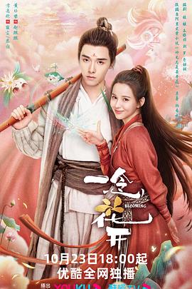 专业优化网站建设公司